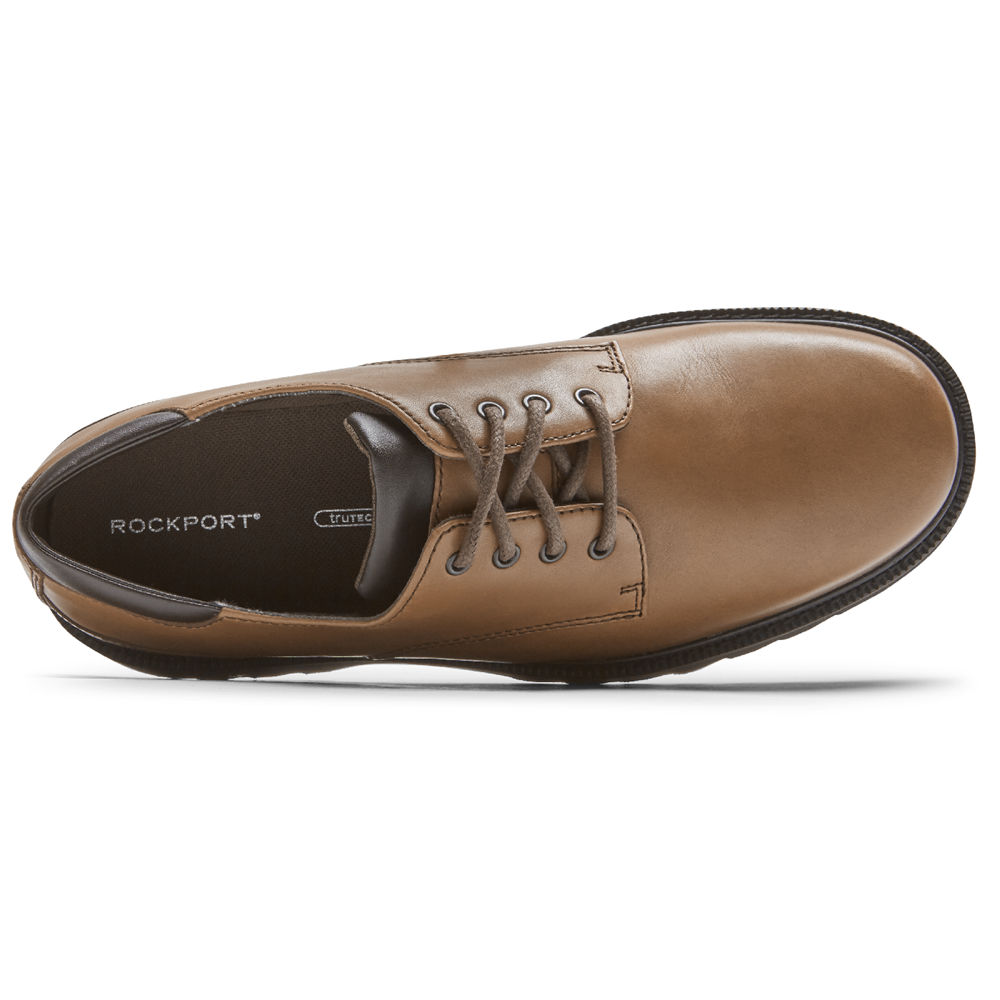 Rockport Oxfords Herre Mørke Brune - Northfield Waterproof - ATSW52918